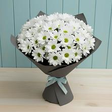 Букет белые хризантемы во Владимире Букет цветов из:  Хризантемы во Владимире