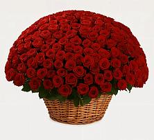 Премиум букет из: Розы во Владимире